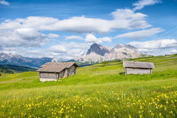 Alpe di Siusi, södra Tyrol, Italien — Stockfoto
