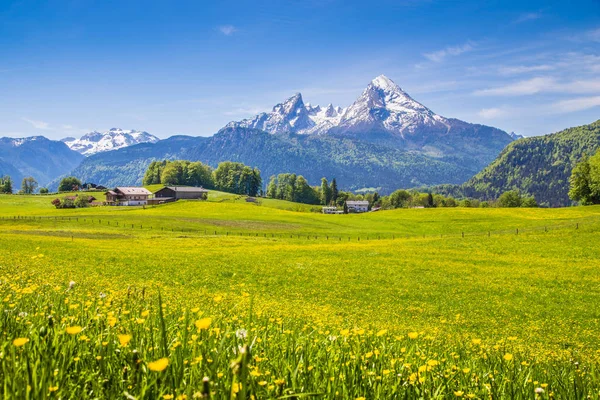 Paisaje idílico en los Alpes con prados verdes y flores en primavera —  Fotos de Stock