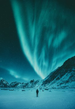 Genç adam kışın Aurora Borealis 'i seyrediyor, Lofoten, Norveç