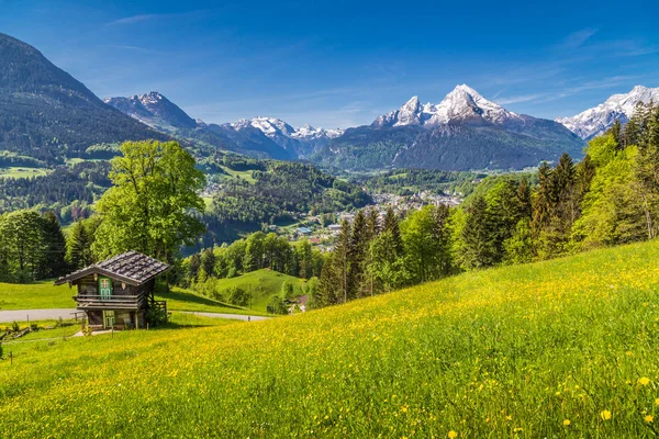Alpine Landschaft mit traditioneller Berghütte im Sommer — Stockfoto