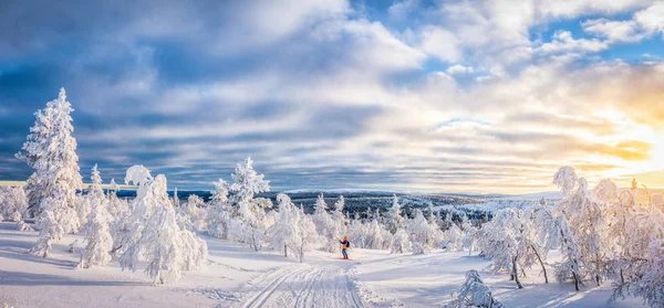 Sci di fondo nel paese delle meraviglie invernale in Scandinavia al tramonto — Foto Stock