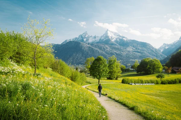 Paesaggio idilliaco nelle Alpi con prati fioriti in primavera — Foto Stock