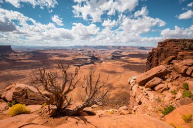Green River Overlook Canyonlands Ulusal Parkı, Utah