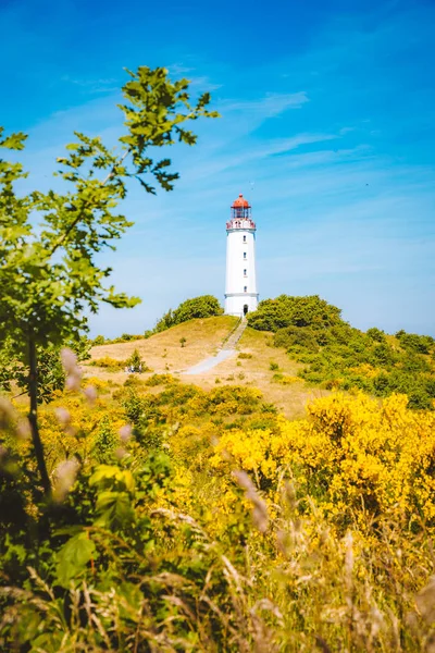 島の灯台ドルンブッシュヒッドシー、オストゼー、ドイツ — ストック写真