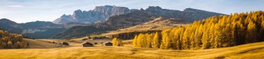 Gün doğumunda Alpe di Siusi, Dolomites, Güney Tirol, İtalya