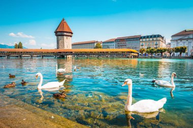 Tarihi şehir Lucerne ile ünlü Şapel Köprüsü, İsviçre