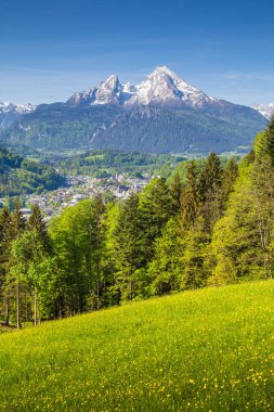 Watzmann dağ tepe yaz, Berchtesgaden, Bavyera, Almanya çiçek açan çayırlar ile