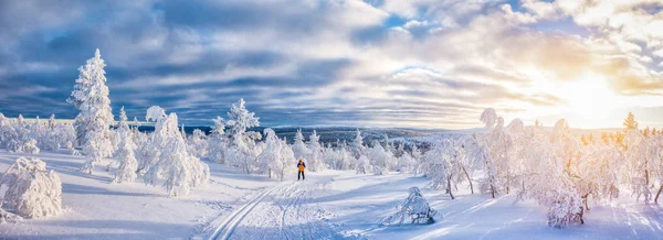 Schi cross-country în țara minunilor de iarnă în Scandinavia la apus de soare — Fotografie, imagine de stoc