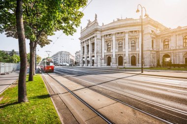 Wiener Ringstrasse Burgtheater ve tramvay gündoğumu, Viyana, Avusturya