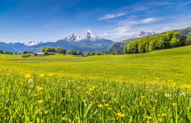 Yaz aylarında yeşil çayırlar ve çiçekler ile Alpler pastoral manzara