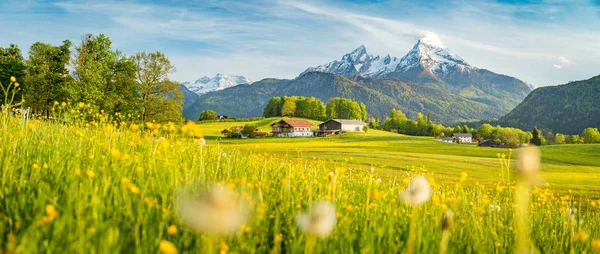 Paesaggio idilliaco nelle Alpi con prati fioriti in primavera — Foto Stock