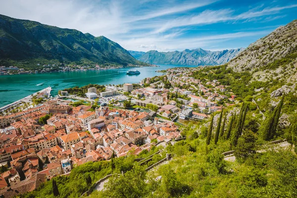 Cidade histórica de Kotor com Baía de Kotor no verão, Montenegro — Fotografia de Stock