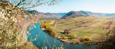İlkbaharda Moselle nehri virajı, Rheinland-Pfalz, Almanya