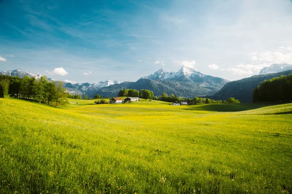 Paisaje idílico en los Alpes con prados florecientes en primavera — Foto de Stock