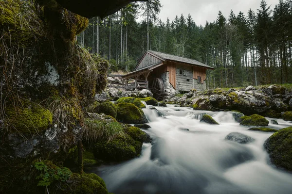 Alte verlassene Mühle im mystischen Wald an einem trüben launischen Tag — Stockfoto