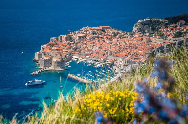 Casco antiguo de Dubrovnik en verano, Dalmacia, Croacia —  Fotos de Stock