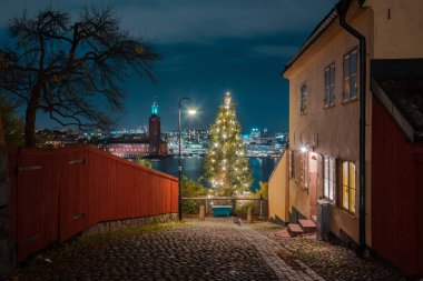 Historic city center of Stockholm with town hall and Christmas Tree, Sweden, Scandinavia clipart