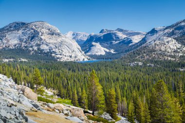 Tenaya Gölü, Sierra Nevada ile Yosemite Ulusal Parkı, Kaliforniya, Abd