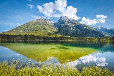 Yaz aylarında Hintersee Gölü, Bavyera, Almanya