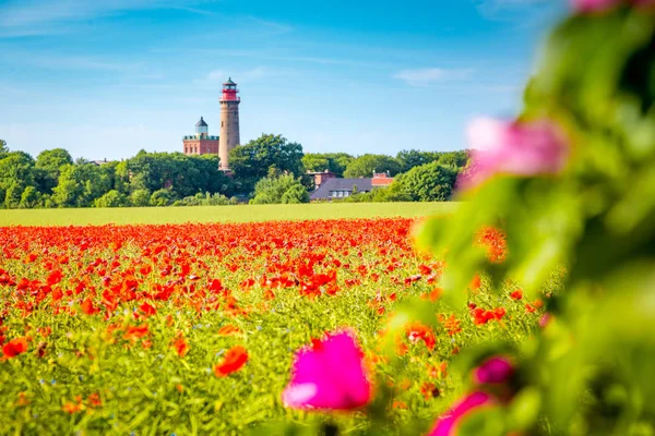 KAP Аркона маяка з червоними маком квіти влітку, Ruegen, — стокове фото