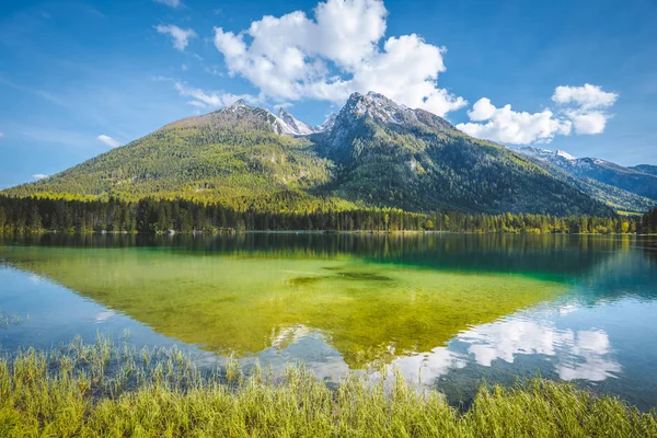 Lake Hintersee in summer, Bavaria, Germany — Stock Photo, Image