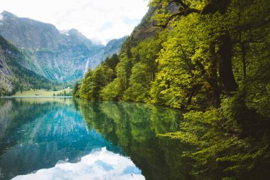 Yaz aylarında Manzara Gölü Obersee, Bavyera, Almanya