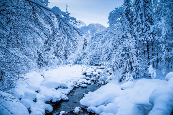 Winterwonderland met rivierbedding en bomen bedekt met diepe sneeuw — Stockfoto