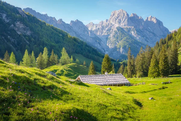 传统的山地小木屋在阿尔卑斯山的夏天 — 图库照片