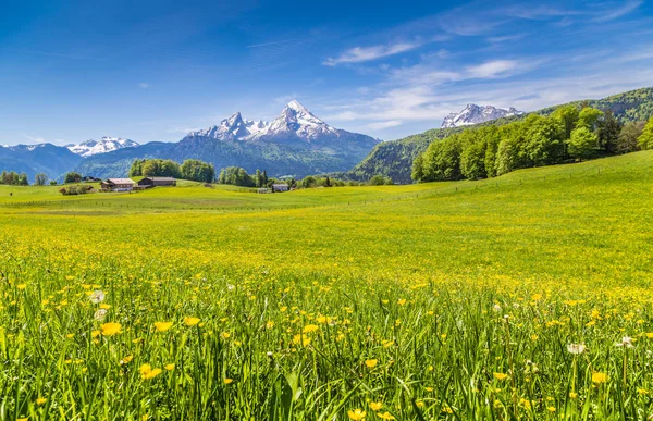 Paisaje idílico en los Alpes con prados verdes y flores en primavera —  Fotos de Stock