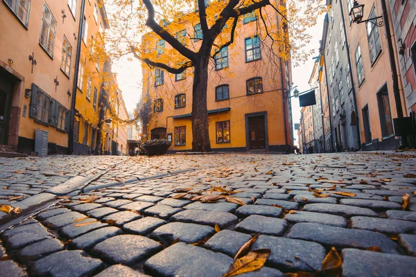 スウェーデンのGamla Stan Old Town地区の日没で美しい黄金の夜の光の中で古いカラフルな家で魅力的なストックホルムの通りのシーン — ストック写真