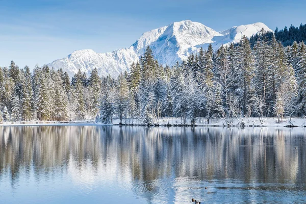 宜人的冬季仙境 在美丽而寒冷的晴天 阿尔卑斯山中晶莹清澈的山湖 — 图库照片