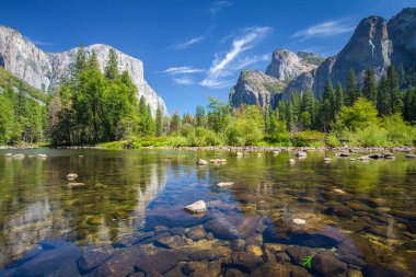 Classic view of scenic Yosemite Valley with famous El Capitan rock climbing summit and idyllic Merced river on a sunny day with blue sky and clouds in summer, Yosemite National Park, California, USA clipart