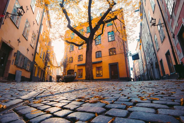 スウェーデンのGamla Stan Old Town地区の日没で美しい黄金の夜の光の中で古いカラフルな家で魅力的なストックホルムの通りのシーン — ストック写真