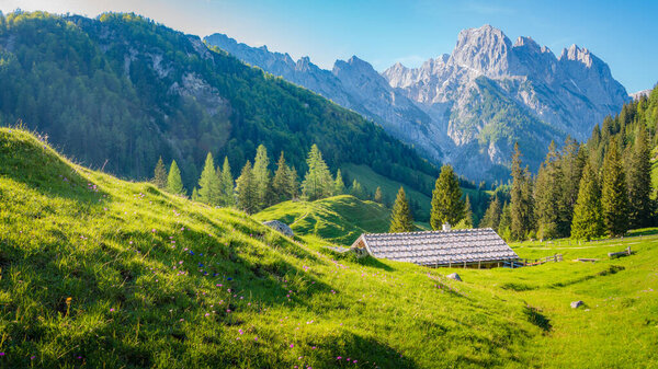 Идиллический пейзаж в Альпах с традиционными горными чалетами и свежими зелеными горными пастухами летом
