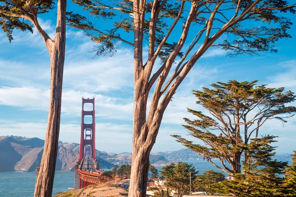 Altın Kapı Köprüsü Nün Klasik Manzarası Manzaralı Presidio Park Yaşlı — Stok fotoğraf