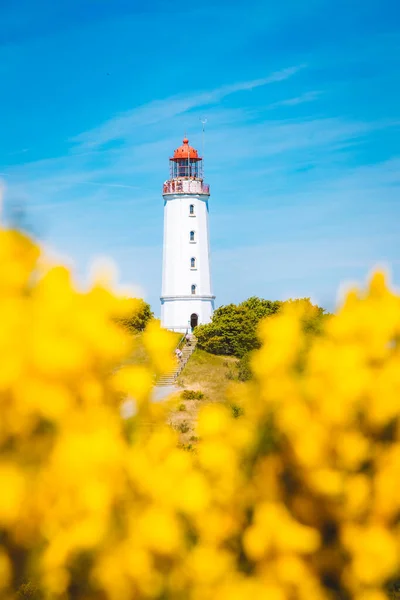 美しい島の有名な灯台Dornbuschの古典的な景色夏に花を咲かせるヒデンゼー バルト海 メクレンブルク フォアポンメルン ドイツ — ストック写真
