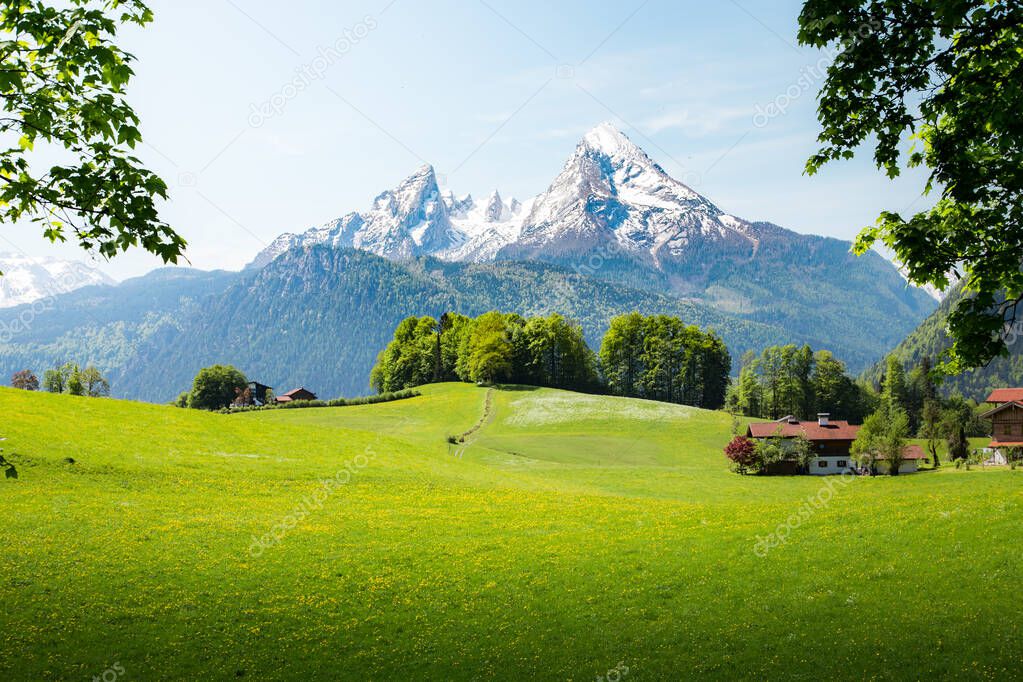 Idyllic summer landscape in the Alps with fresh green mountain pastures and snow capped mountain tops in the background