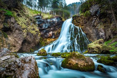 Yosun kayaları ve yeşil ağaçlarla ünlü Gollinger Wasserfall 'un baharda karamsar bir manzarası, Golling, Salzburger Land, Avusturya