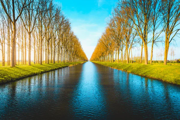 Gyönyörű Panoráma Nyílik Híres Damme Canal Más Néven Damse Vaart — Stock Fotó