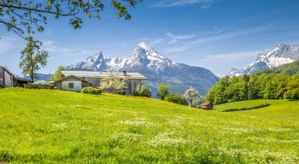 Vista Panorámica Del Idílico Paisaje Montañoso Los Alpes Con Prados — Foto de Stock