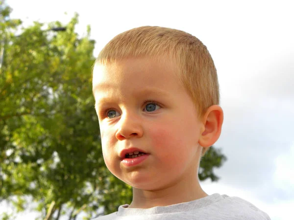 Retrato Chico Rubio Con Ojos Grises Encantador Niño Tres Años —  Fotos de Stock