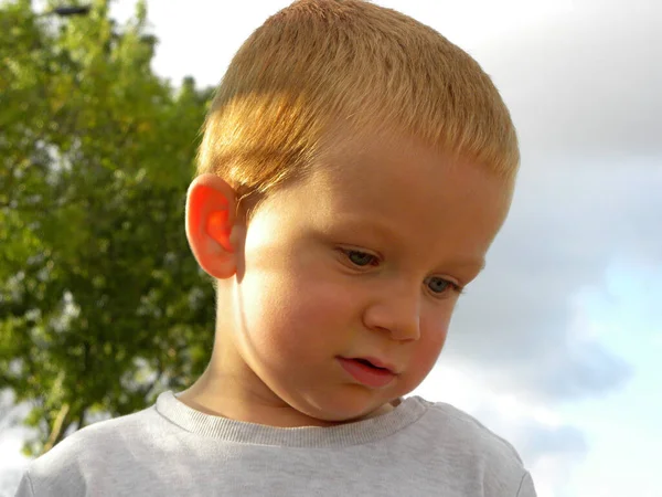 Retrato Rapaz Loiro Com Olhos Grisalhos Encantador Menino Três Anos — Fotografia de Stock