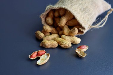 Gri arka planda keten bir çantada kabuklu fıstıklar..