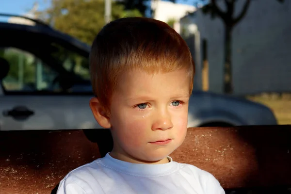 Retrato Encantador Chico Rubio Niño Tres Años Con Lágrimas Los —  Fotos de Stock