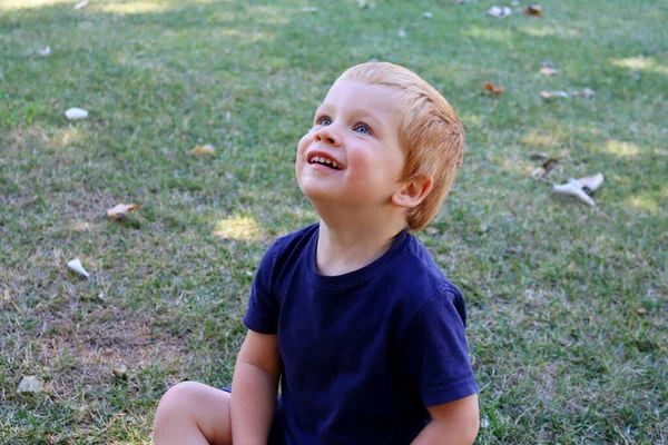Portret Czarującego Blondyna Niebieskimi Oczami Trzyletni Chłopiec Siedzi Trawie Podniesioną — Zdjęcie stockowe