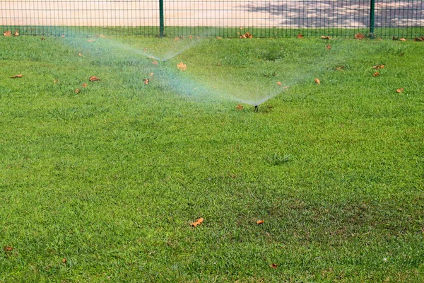 Sprinkler irrigation system watering lawn in garden. Automatic watering of lawns.