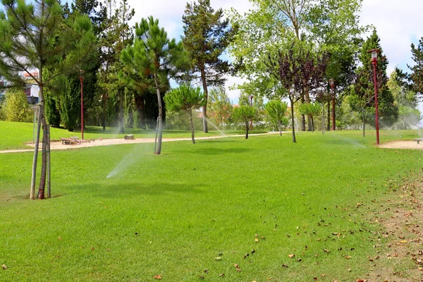 Sprinkler irrigation system watering lawn in a green city park. Automatic watering of lawns.