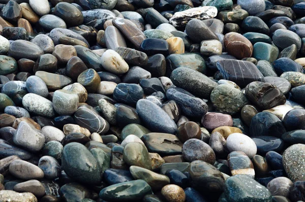 Wet colorful stones. Beautiful natural background image