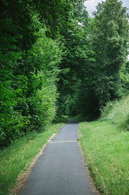 Asfalt yol yeşil güzel orman Würzburg, Almanya için