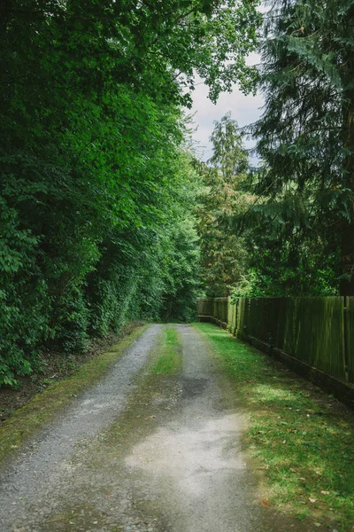 Road Fence Green Trees Wurzburg Germany — Stock Photo, Image